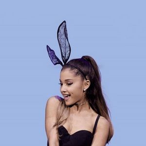 Meet your Posher, Maxwell